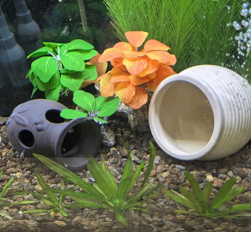 Image of M2cbridge Pottery Ceramic Jar Natural Clay Vase Cichlid Small Fish Shrimp to Play Hide Breed Habitat(Purple Clay, 2pcs)