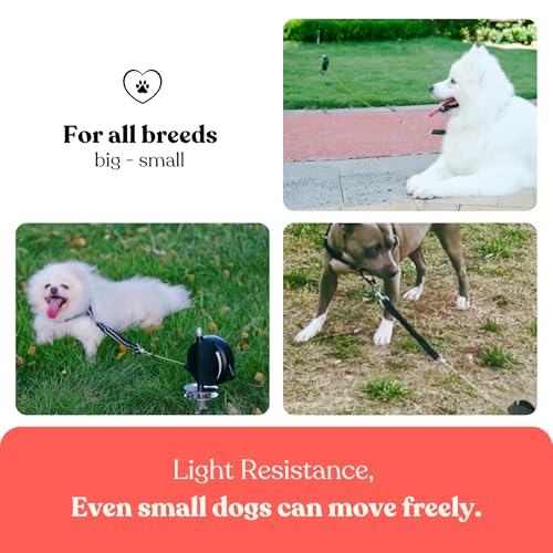 Cabo retrátil para amarrar para cães resistente: a linha definitiva para cães - Cabo retrátil de ama