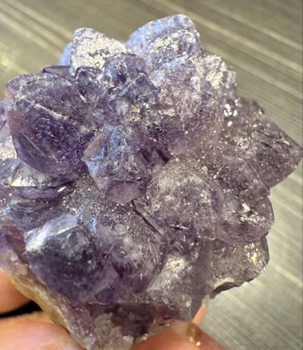 2񌋏 EOACY VK[AWXg NX^[  VR