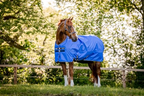 Manta impermeable Amigo Hero Ripstop Lite 75 resistente a desgarros 2