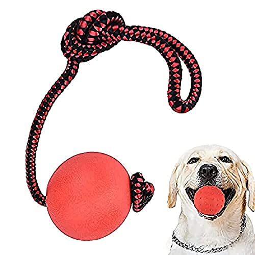 LSTK 3 pcs Jouets pour Chien de Nylon Chiot Grande Petit Chien, Jouets interactifs Outdoor Training Cover