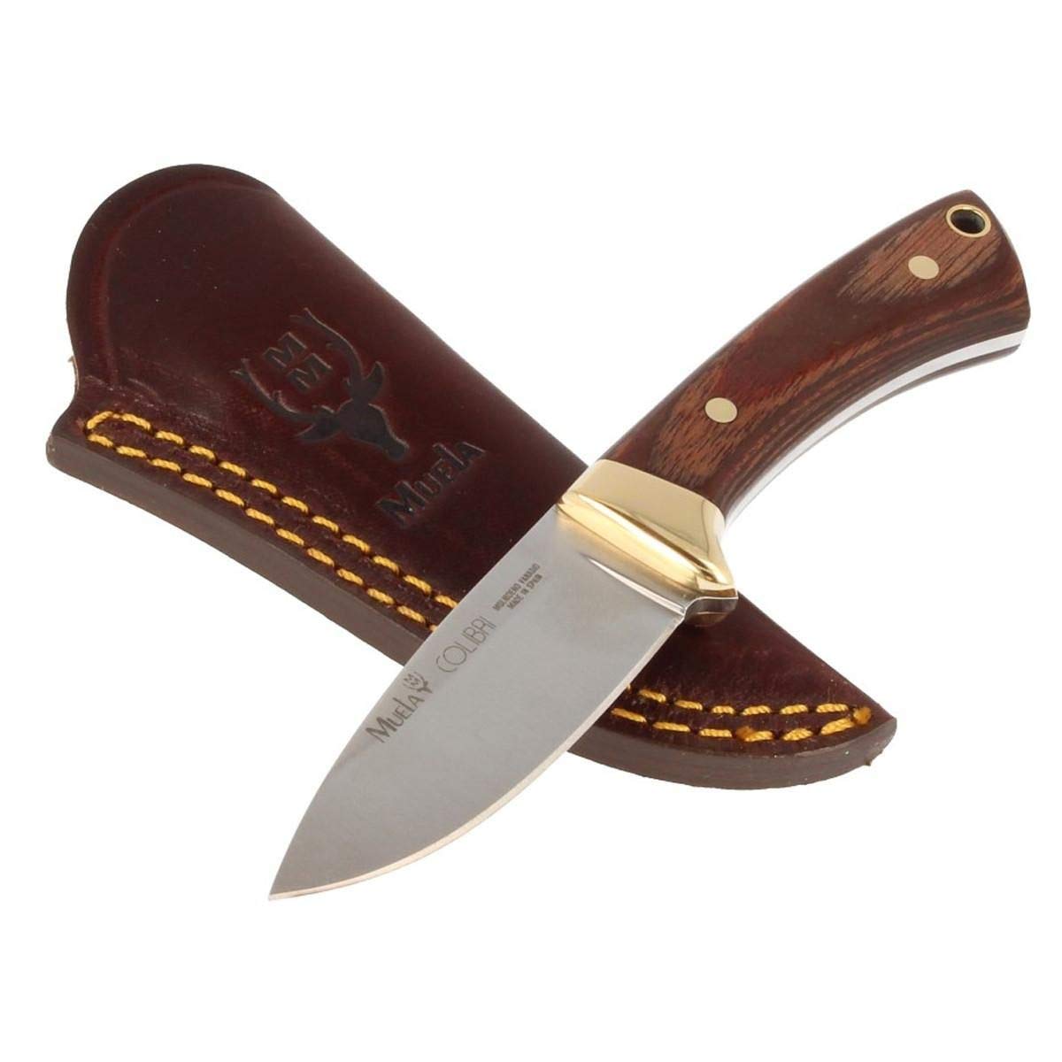 Muela Cuchillo Colibri COL-7M hoja de acero ACX-380 de 7 cm y empuñadura de madera prensada para Caza, Pesca, Supervivencia y Bushcraft Realizado en Ciudad Real + Portabotellas de regalo