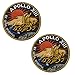 Apollo Mission Patch Set Apollo1,7,8,9,10,11,12,13,14,15,16,17, Space Embroidered Patches,60th Anniversary Logo, DIY Embroidered Patch Costume Applique Badge Set