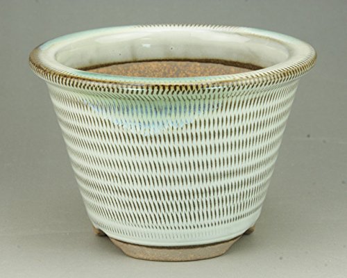 悶 y~͔z Ό/JiO۔ iiTCYjaF10.5cm y~j`z