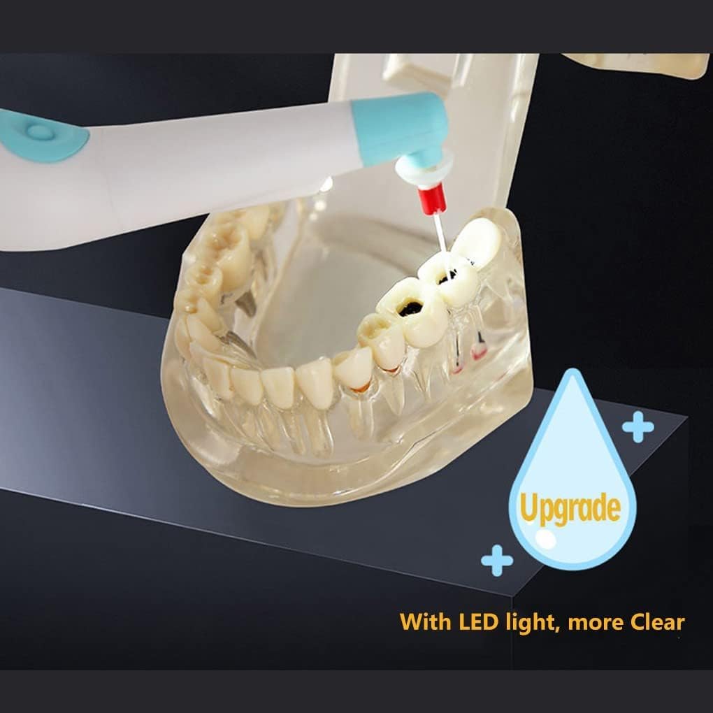 Denti di pulizia dell'attivatore di odontoiatria dell'irrigatore dell'endo dell'attrezzatura dentale