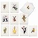10 Animal Watercolor Christmas Cards With Envelopes 4 x 5.12 inch - Assortment of Boxed Greeting Cards 'Wildlife Expressions' - Fun and Colorful Holiday Note Cards for Kids, Adults M2973XSG