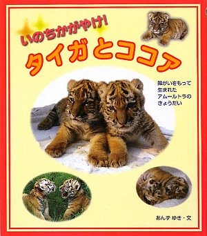 いのちかがやけ!タイガとココア : 障がいをもって生まれたアムールトラのきょう… 517fm-OXRFL.jpg