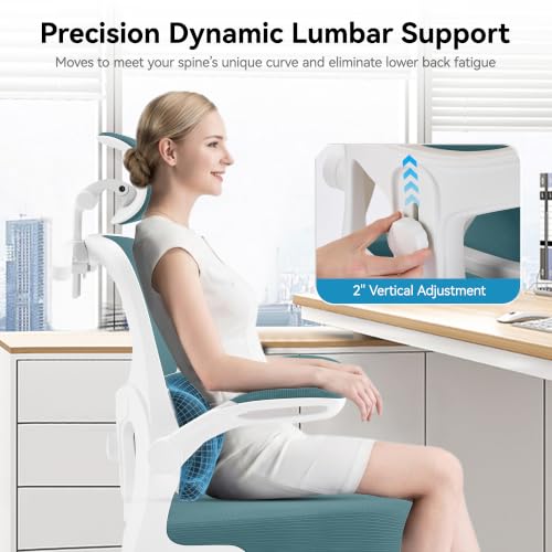 Image of AreShark Office Chair Ergonomic Desk Chairs with Adjustable Lumbar Support& Headrest Hanger, High Back Breathable Mesh Chair with Wheels, Rolling Swivel Comfy Task Computer Chair for Home Work Gaming