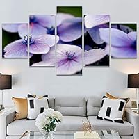 SIGNWIN 5 Panel Canvas Wall Art Modern Art Bohemian Bouquet Colorful Cool Floral Group Multicolor Photography Realism for Home Decorations Ready to Hang - 60