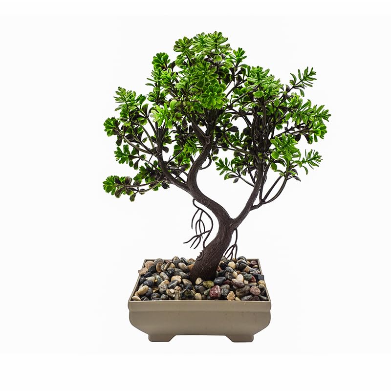 VESTIAMO CASA - Pianta artificiale Bonsai in vaso - h23 cm diametro 15 – On Line Happy Casa Store