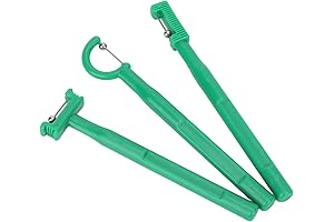 PAER Tongue Tip Exercise Set: Revitalize Speech and Oral Proficiency