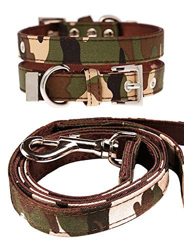 Hundehalsband & Leine Im Leopardenprint – Verstellbar, Robust & Stylisch (Größe S, 20–28 Cm)