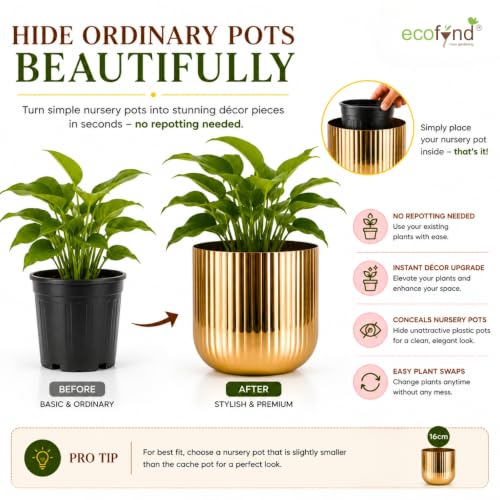 Image of ecofynd 1 Pack Metal Plant Pot (6.3 inch), Indoor Small Planter Flower Pots, Home Garden Decor Planter for Living Room Bedroom Interior (Gold Finish, POT047)
