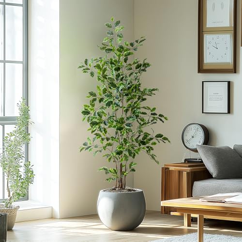 Bailikang Artificial Ficus Tree Indoor 5ft, Large Potted Faux Tree with Realistic Silk Leaves...