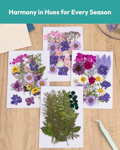 Image of Dried Flowers, Resiners 100Pcs Pressed Flowers for Craft Purple Real Natural Dried Flowers Dry Leaves Kit for DIY Making Crafts Resin Soap Candle Scrapbook Supplies Card Making Jewelry