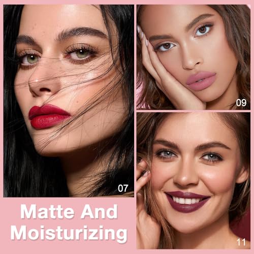 Image of evpct 12Pcs Retractable Lip Liners Pencils Set Pack for Shaping & Sculpting Lips, Mauve Maroon Red Orange Nude Coffee Brown Plum Taupe Creamy Matte Gel Lip Liner Lipliners Pencil delineador de labios