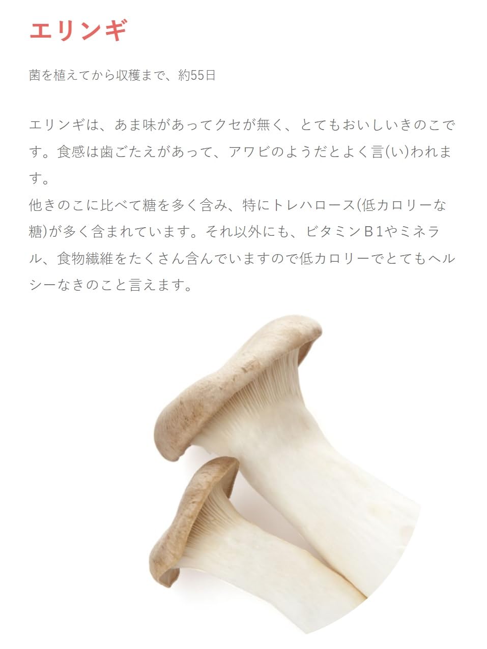 Amazon.co.jp: 国内産 エリンギ 1パック 100g : 食品・飲料・お酒