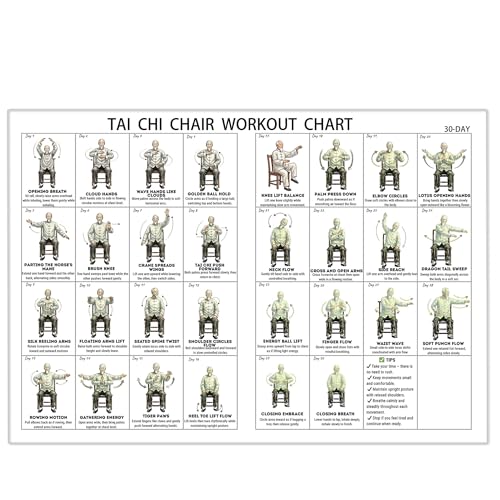 Tai Chi Chair Workout Chart for Seniors 30 Day Exercise & Walking Program Poster Seated Calisthenics Routine for Balance Mobility & Home Fitness (Men)