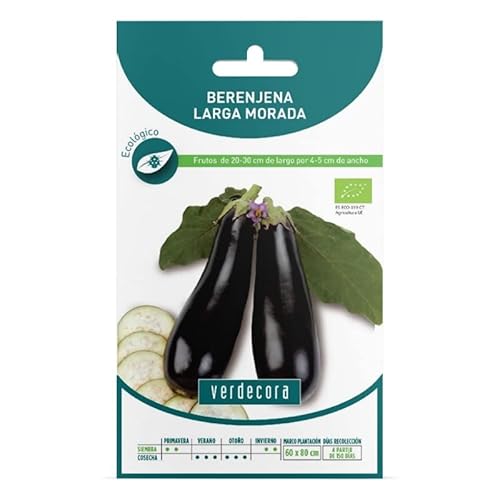 SEMILLAS ECOLOGICAS BERENJENA LARGA MORADA VERDECORA