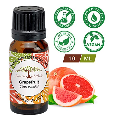 Image of All Naturals Ylang Ylang Essential Oil 100% Pure for Soft & Manageable Hair, Skin, Lasting Sweet Aroma & Natural Perfumes - 15 ML