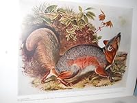 Audubon's Animals--the Quadrupeds of North America B000KBU53Q Book Cover