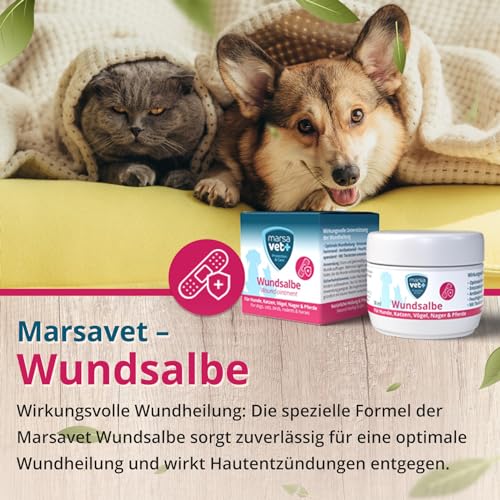 marsavet+ 30ml Wundsalbe für Hunde, Katzen, Vögel, Nagetiere, Pferde und mehr. Zink, Propolis, Hyaluron und D-Panthenol - fördert die Heilung und verhindert Hautentzündungen. Premium-Qualität.