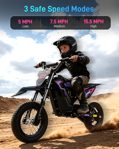 QWAYQ 36V Electric Dirt Bike