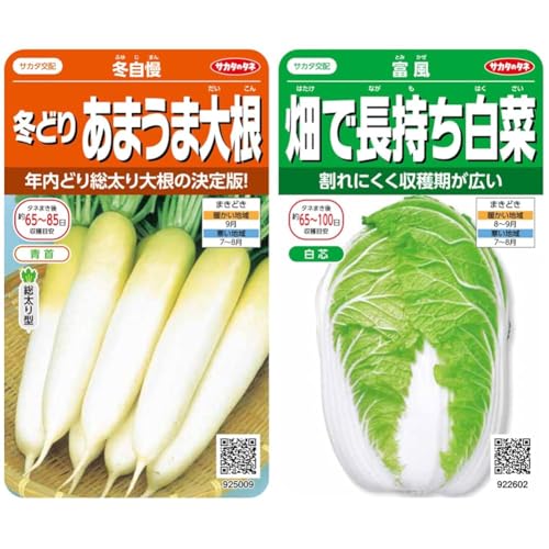 【セット買い】実咲野菜 ダイコン あまうま総太り冬自慢 小袋003065 + サカタのタネ 実咲野菜2602 畑で長持ち白菜 富風 00922602