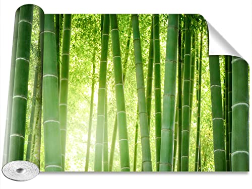 Papier peint foret de bambou moderne de dimensions 250x104cm pour decoration murale interieure - 2