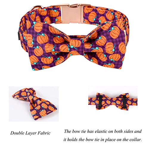 Lionet Paws Dog Collar with Bowtie, Halloween Bowtie for Dogs, Adjustable Comfortable Dog Collar Girl Boy, M, Neck 34-55cm - Image 3