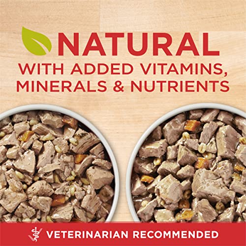 Image of Purina ONE Wet Dog Food Variety Pack, Tender Cuts, (2 Pack of 6) 13 oz Cans