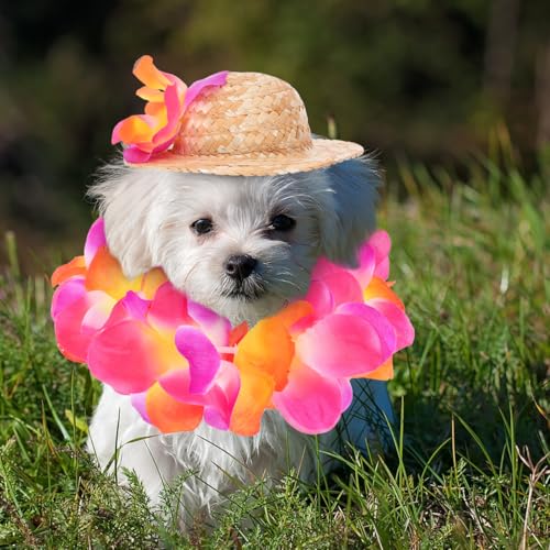 Disfraz hawaiano para perro pequeño con sombrero y guirnalda miniatura 4