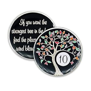 10 Year Sobriety Chip | Tree of Life AA Coin Token Medallion with Glow in The Dark Recovery Anniversary