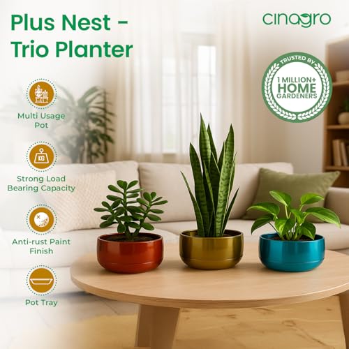 Image of CINAGRO Metal Planter Pot for Indoor Plants, Round Decorative Flower Pot, Rust-Resistant, Modern Plant Holder for Home, Balcony, Office (13.97 x 7.62 cm, Pulse Nest - Trio)