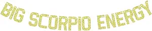 Big Scorpio Energy Banner, Scorpio Birthday Bunting Sign, Horoscope Astrology Theme Party Decorations, 12 Zodiac Theme Birthday Party Decorations Gold Glitter