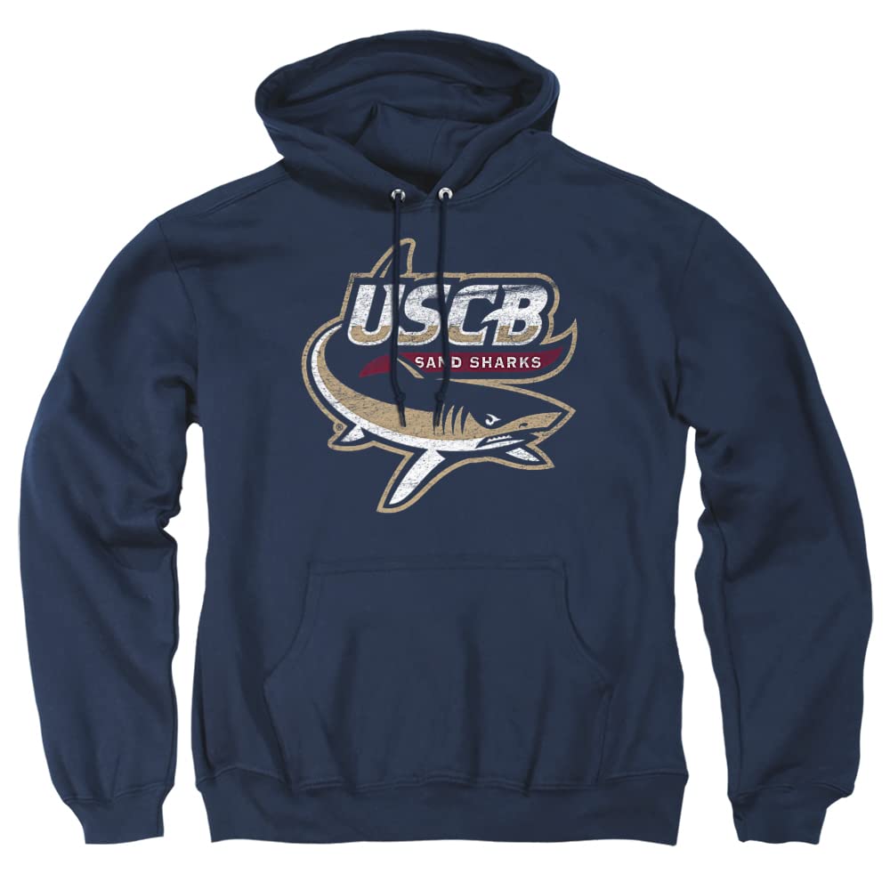 LOGOVISION Official Collegiate Distressed Primary Logo Adult Pullover Hoodie Collection — view 389