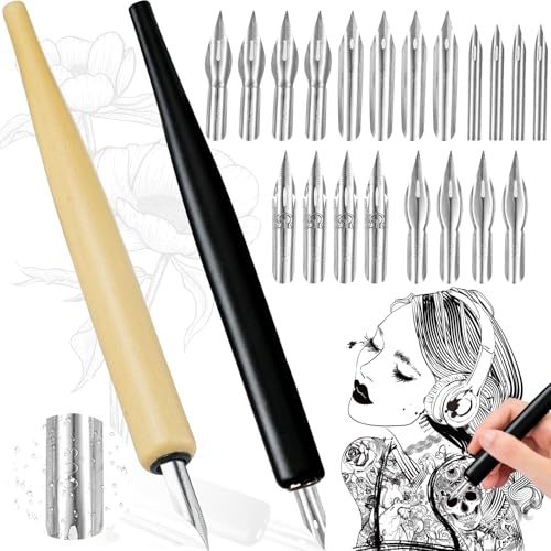 WiDream Juego de Bolígrafos de Caligrafía, Dibujo Manga Pen, con 2 portaplumas y 20 plumillas, para Principiantes de Cómics