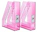 Acrimet Magazine File Holder (Clear Pink Color) (2 - Pack)