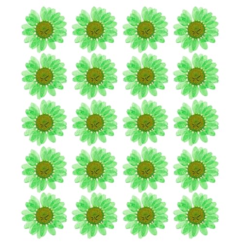 Flores naturales secas prensadas para manualidades 60 piezas miniatura 1