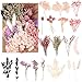 Heyu-Lotus Natürliche getrocknte Blumen, echte getrocknte gepresste Bluman DIY gemischte getrocknte Bluman für DIY-Kerzenharz, Schmuck, Nägel, Scrapbooking-Bastelarbeiten Echte günstig Kaufen-Heyu-Lotus Natürliche getrocknte Blumen, echte getrocknte gepresste Bluman DIY gemischte getrocknte Bluman für DIY-Kerzenharz, Schmuck, Nägel, Scrapbooking-Bastelarbeiten