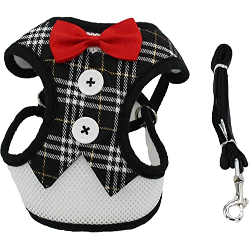 Plus Nao(vXiI) n[lX [h 2_Zbg p ybgObY  UR R R `FbN 璹iq lN^C bV M ubN×`FbN