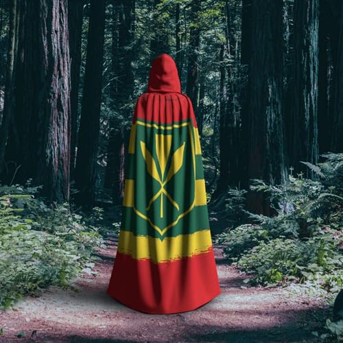 Cape à capuche imprimé drapeau hawaïen et robe de magicien fluide - 6