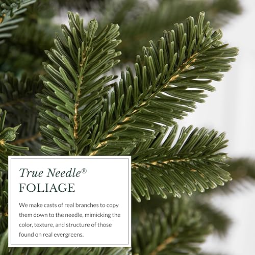 Image of Balsam Hill BH Fraser Fir - Full Christmas Tree with Most Realistic True Needle Foliage, Easy Plug Technology & Multiple Height and Lighting Options, LED Clear, 5.5ft