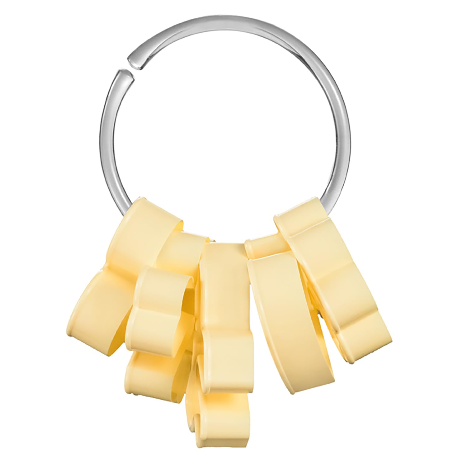 Tescoma DELÍCIA Ausstechformen-Set für Tassenkekse, Naturmotive, 5-teilig und spülmaschinenfest - 630919