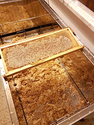 Miel Artesanal de Castaña Sin Pasteurizar 250 g miniatura 2