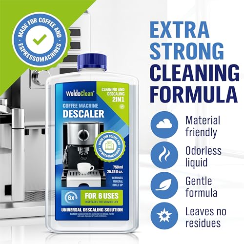 WoldoClean Descaler Solution