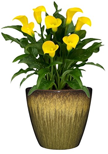 Classic Home & Garden Planter, Resin, Willow Green, 8 Inches - Image 4