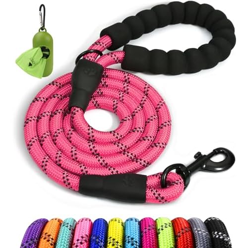 Taglory Rope Dog Leash 5 FT with Comfortable Padded Handle, Highly Reflective Threads Leash and Anti-Tangle Clip for Walking Medium Large Dogs, 1/2 inch, Pink