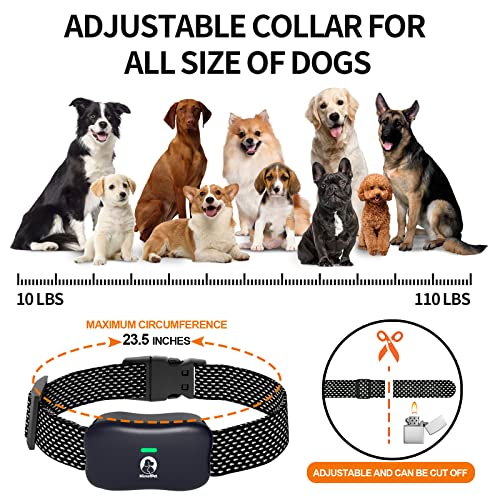 Dog Shock Collar,4000Ft Range Dog Training Collar With Remote,185 Days Stand Time,Waterproof And Rechargeable E Collar With Beep,Vibration,Shock,Light And Keypad Lock For Large Medium Small Dogs #TOP5