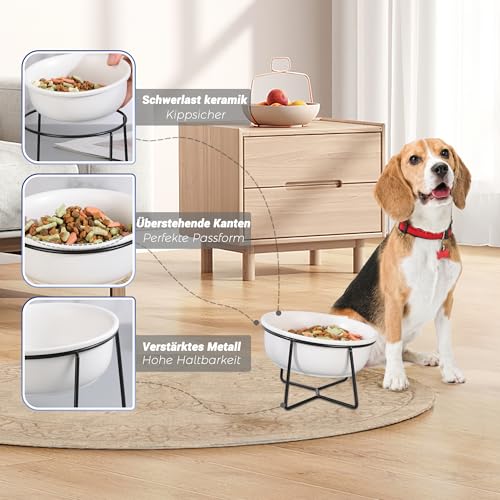 Hundenapf Keramik - Futternapf Hund Katzennapf - Futterstation Hund Katzen Erhöht mit Ständer - Fressnapf Wasser Futter Napf für Große Katzen und Mittelgroße Hunde - 850ml